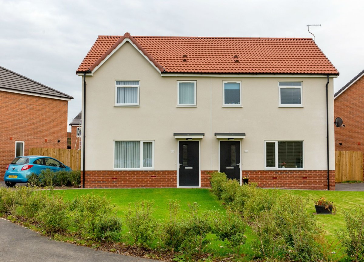 Rosa Homes tweet media
