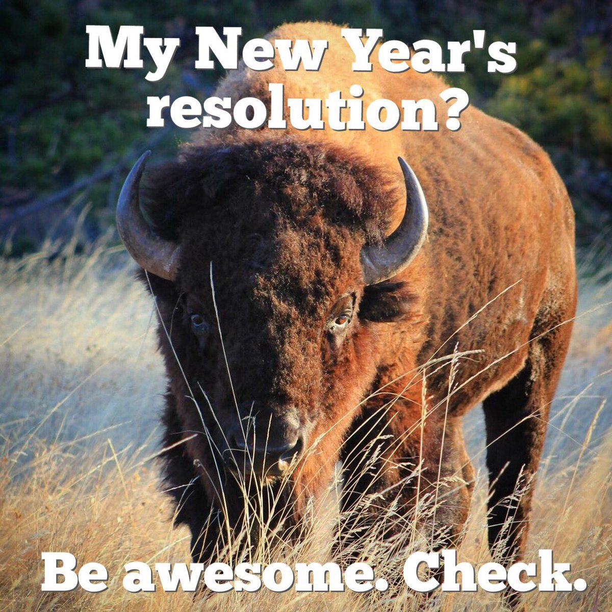 Need inspiration for the New Year? Consider this powerful idea from <a href="/MidwestNPS/">MidwestNPS</a>! #LeadershipDevelopment #NewYearsResolution