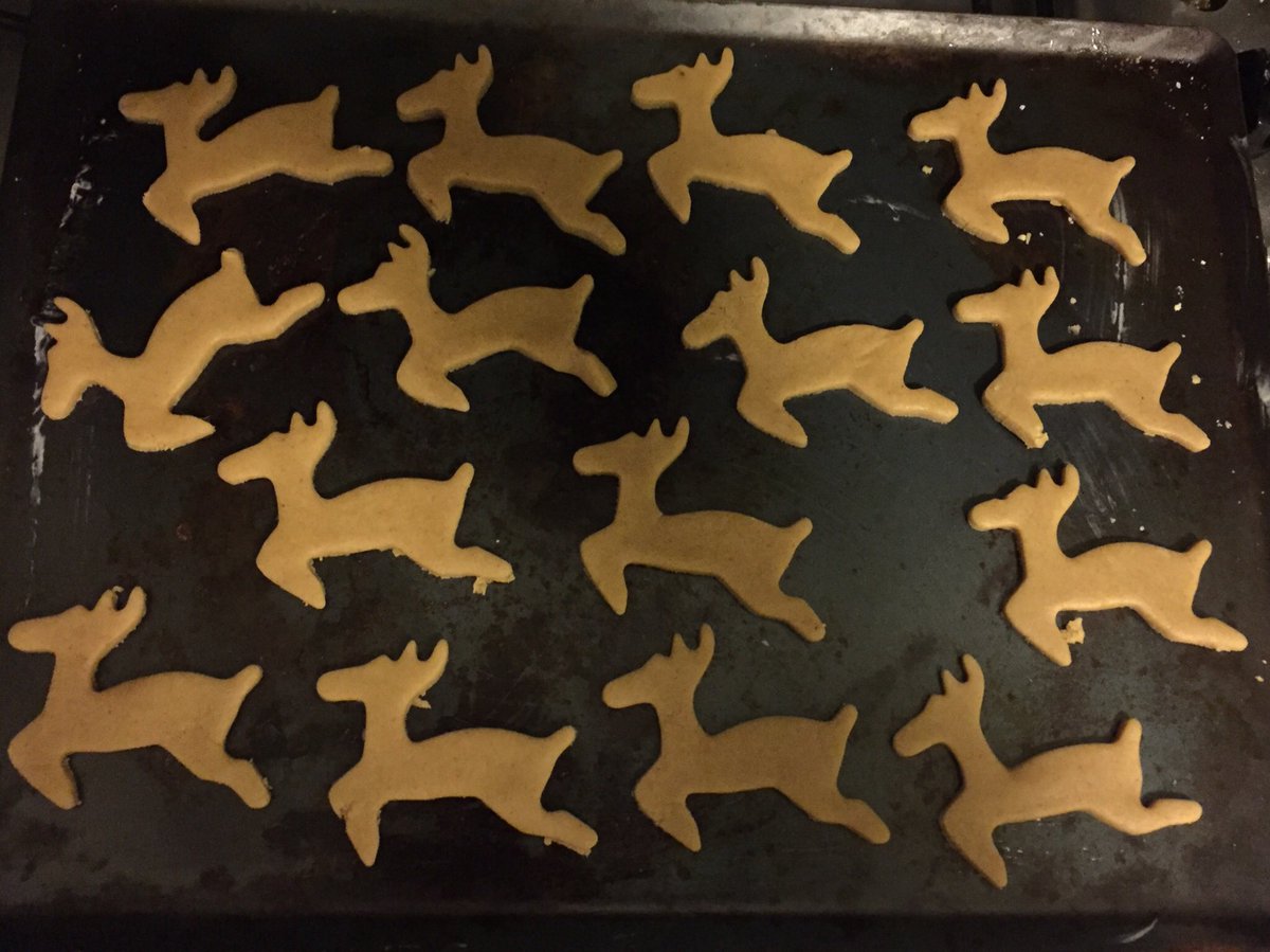 larkingrumple's tweet photo. A whole herd of gingerbread reindeer to cheer up the Bachtrack Towers’ crew #backtowork... #gingery https://t.co/bBg79FRv68