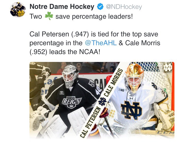 elitegoalies photo