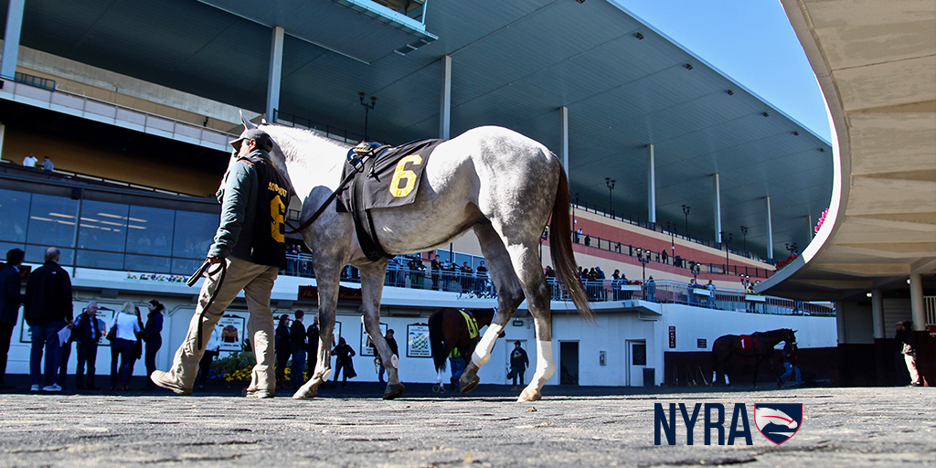 TheNYRA's tweet photo. What races are you looking forward to this year? Tell us for a chance to win a 2018 NYRA Calendar! #TuesdayThoughts https://t.co/KlZKtd7CZc