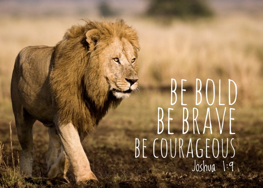 c is for courageous another word for brave count c is for courageous another word for brave count