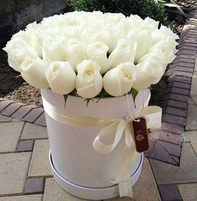 ata___a's tweet photo. @__Ngu @soosoo6694 @aghvxdhbj34567 @berooalhrbi @5BF9DIFZRrJOkkE @lexus200920081 @rwan200003 @sr___w4 @abo_mjo0od @iiiib_52 الف شكر احلى اداره https://t.co/Cg9bfwfC1h