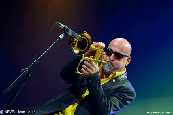 Gilbert D'Alto tweet media