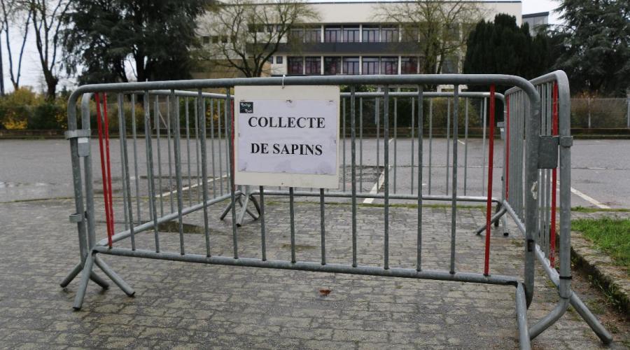 Pontivy. Vingt points de collecte pour recycler vos sapins de Noël dlvr.it/Q8XWFG