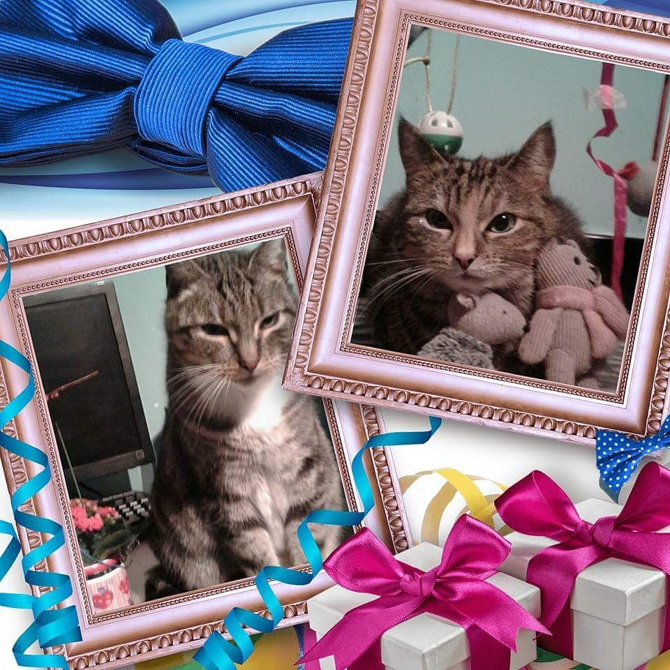 Fabienne Motte Rastafa64 Twitter