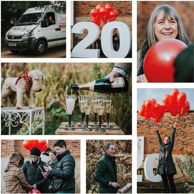 <a href="/_thelittledog/">The Little Dog</a> 
greetingstoday.co.uk