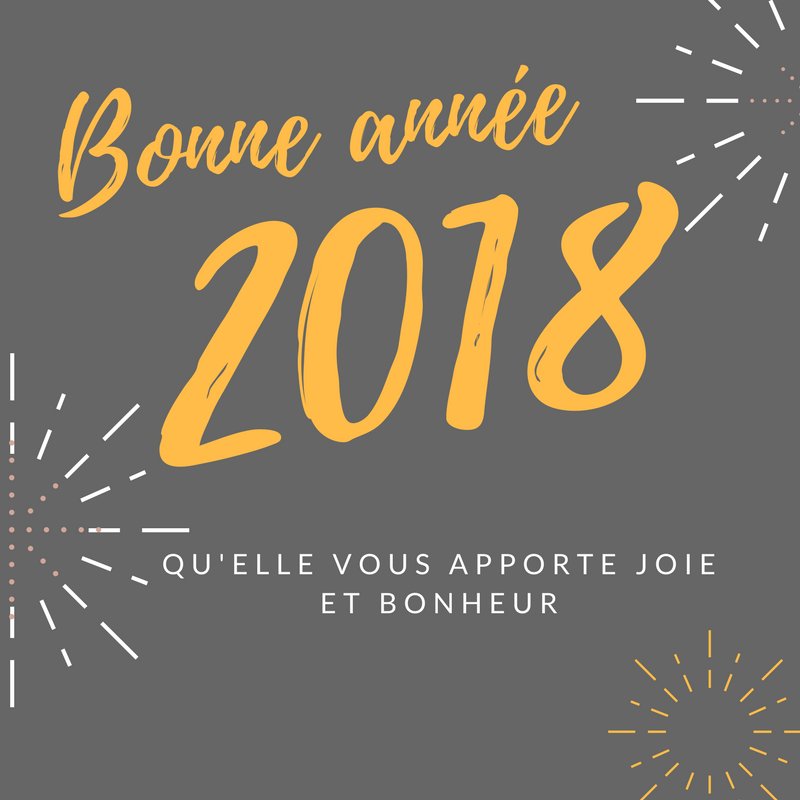 Bonne année à tous! à bientôt pour de nouvelles aventures!!