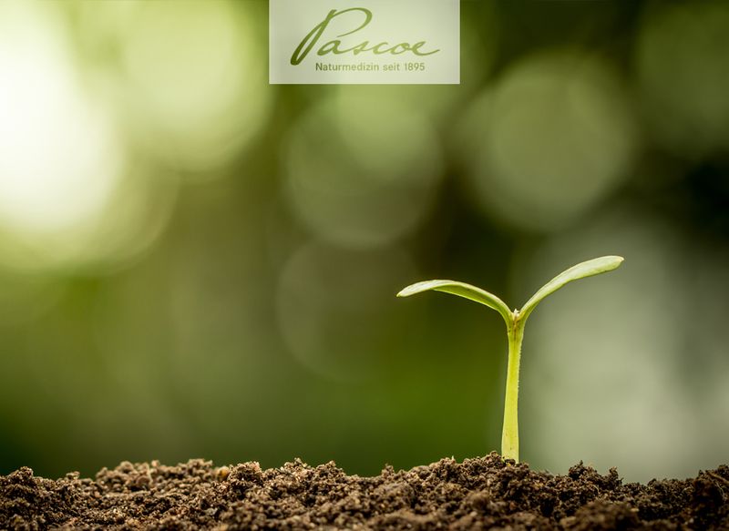 +++ Neustart: die Kunst des Loslassens +++
Hier erfahren Sie mehr: pascoe.de/service/newsle…