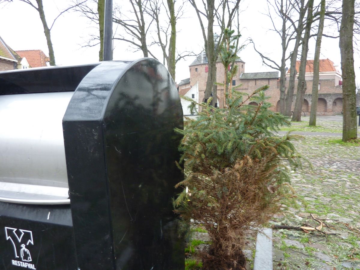 gemharderwijk's tweet photo. Van 8 t/m 12 januari haalt afvalinzamelaar Aconov gratis huis-aan-huis kerstbomen op. 🎄 Lees op onze website wanneer de kerstbomen in jouw buurt worden opgehaald: https://t.co/loW0Tukqcr. https://t.co/S86dAo6dWs