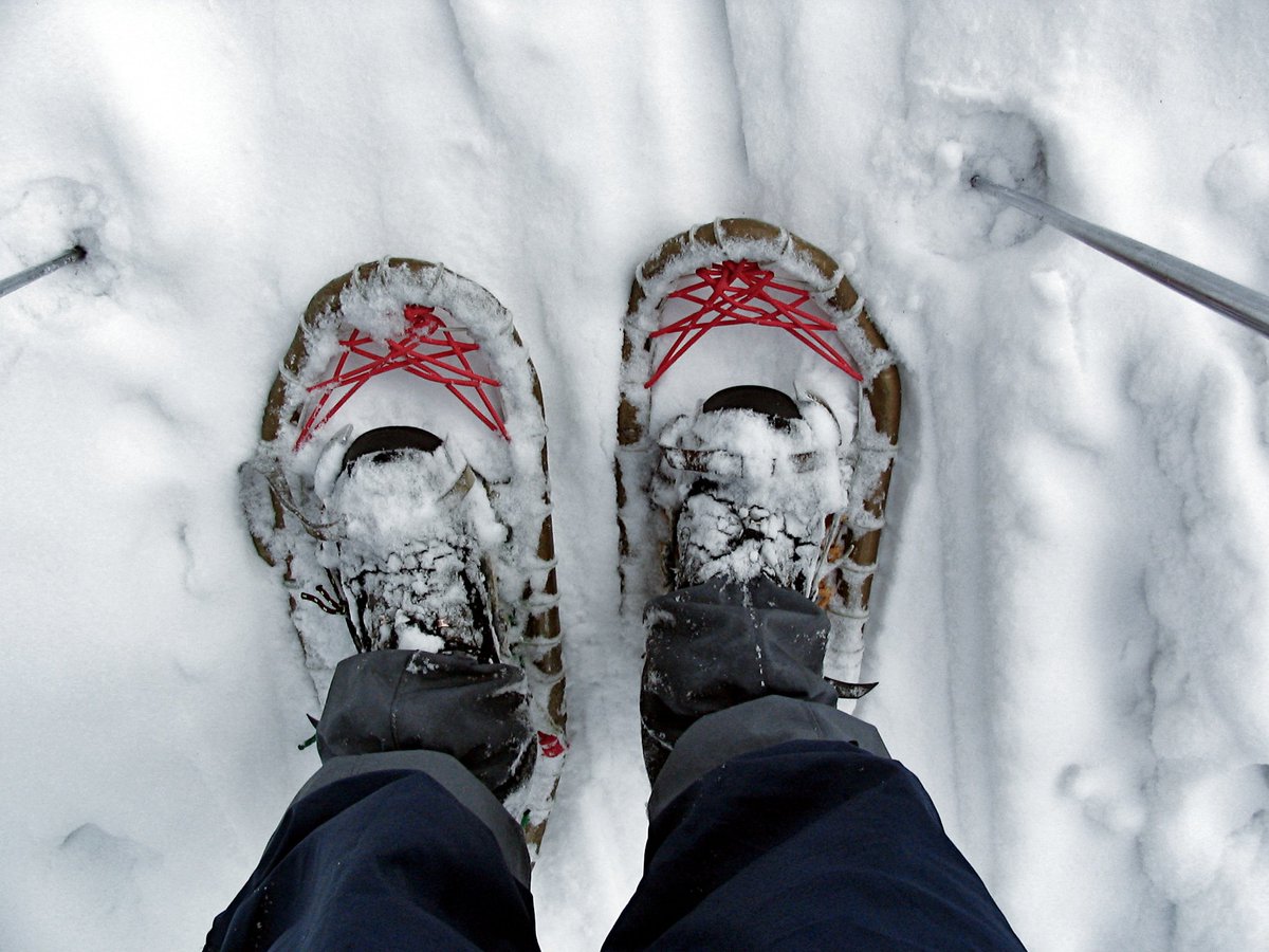 Wer meint, dass #Schneeschuhwandern voll easy und langweilig ist? Mit dem würden wir gerne reden... gleich nachdem er eine von diesen genialen #Touren bewältigt hat!
urlaubster.at/blog/trendspor…