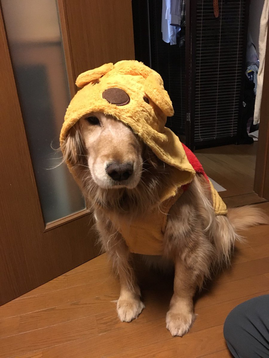 etsu012301's tweet photo. うざい https://t.co/tIl6YL3EGb