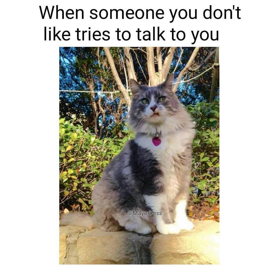 LexPanthor's tweet image. 