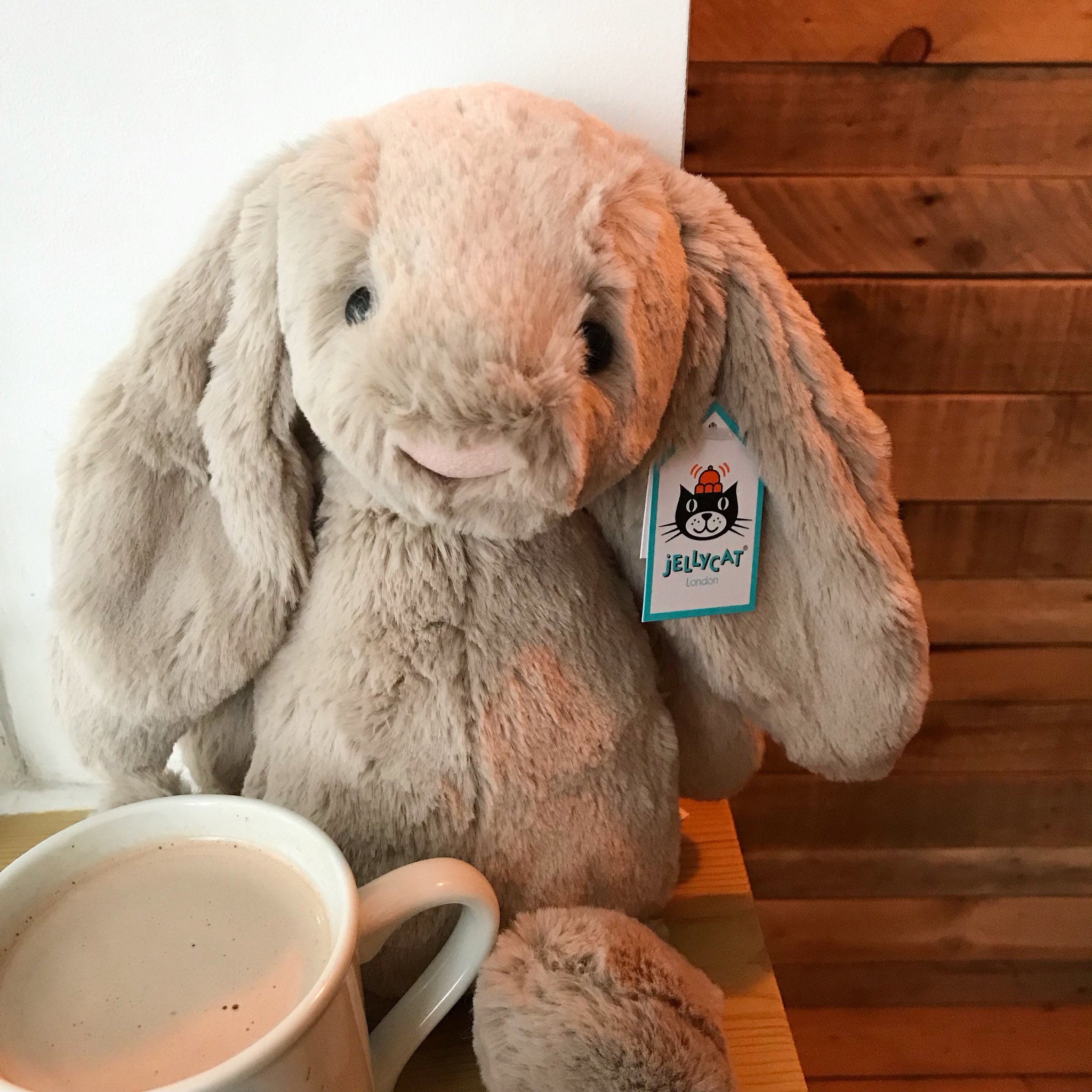 jellycat beatrice bunny