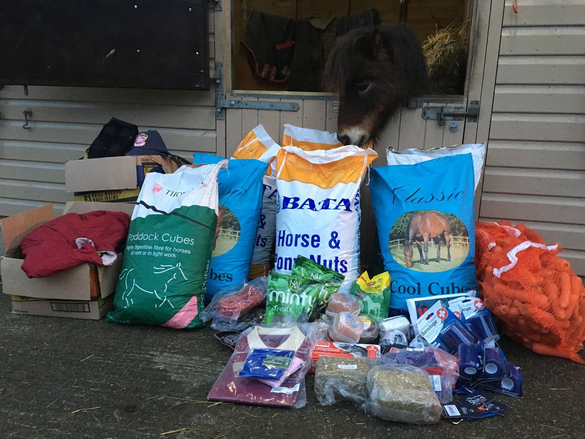 Hope Pastures 🐴 tweet media