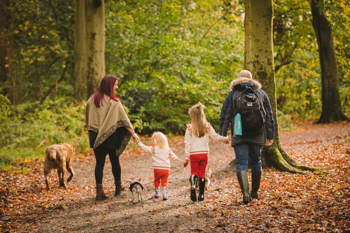 Easy_Pets's tweet photo. Already busy planning our family adventures with our dogs for 2018. Which campsites do you like to take your pets to? #NewYear https://t.co/YFrQexTQUw