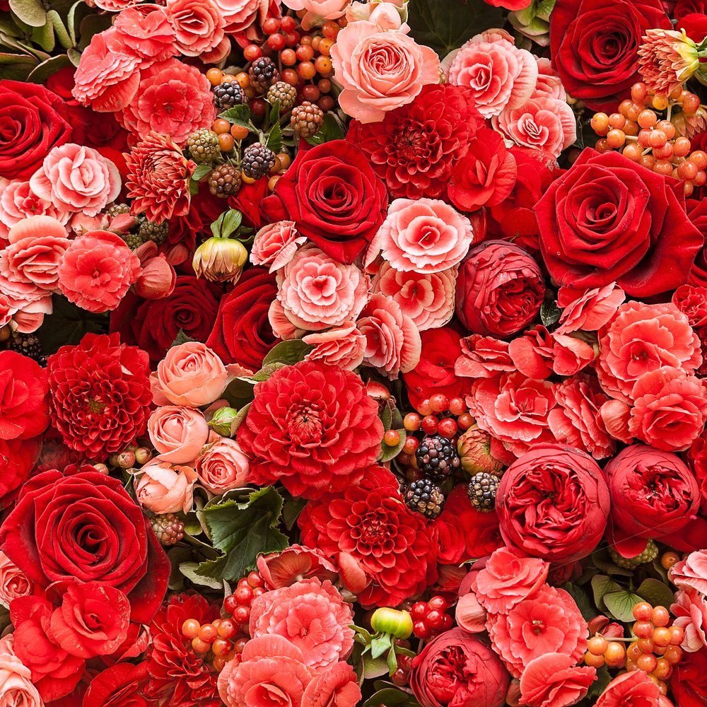 FundraisingNet's tweet photo. How to Do a Flowery Fundraiser in February
If you plan to do a Valentine fundraiser, you need to start now with the planning.
https://t.co/gBLfybDC8B
#flowerfundraiser #valentinefundraiser https://t.co/1kwMV8LUmb