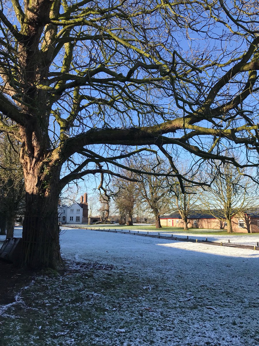 Tatton Studios & Locations tweet media