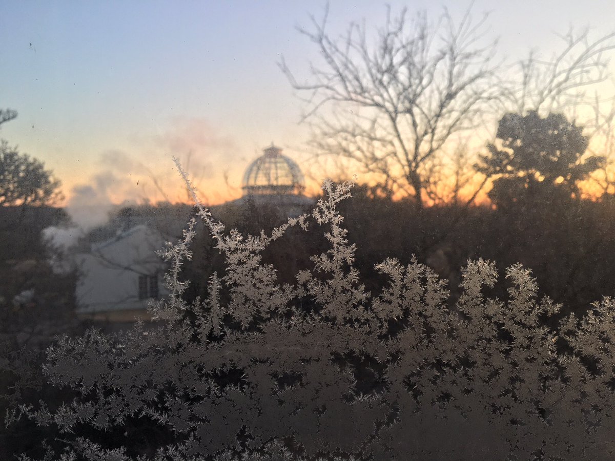 lewisginter's tweet photo. It’s a frosty morning, stay warm! 

Image by Senior Horticulturist Shannon Smith. #rva #brrr #rvawx https://t.co/3gHpJ5Uefw