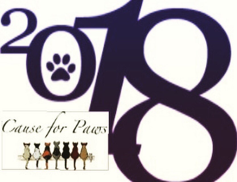causeforpawsfl's tweet photo. At Cause for Paws FL πΎ we are wishing you and your loved ones a blessed 2018 #CauseForPawsFL #Cat #Cats #CatsaGram #Gato #Gatos #CatLove #Kitty #TheCat #Kitties #Kittens #KittyCat #Feline #KittyCatEyes #FurBaby #FurrBaby #FurryFriend #CatCircus #PetCube #KittyLove #BabyCat https://t.co/s39iUDUOJ9