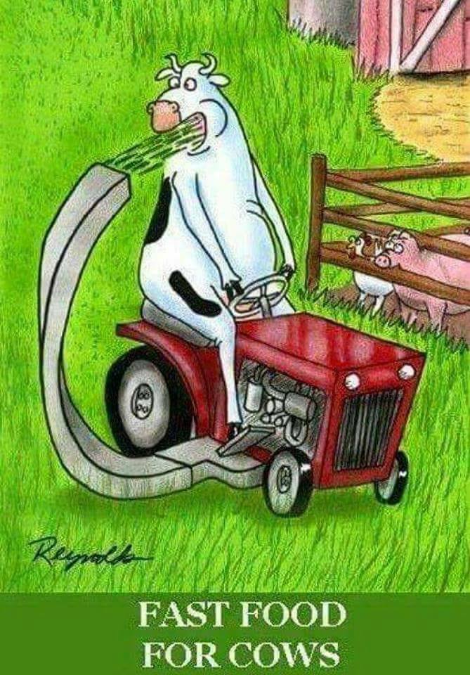 HEdmound's tweet image. 