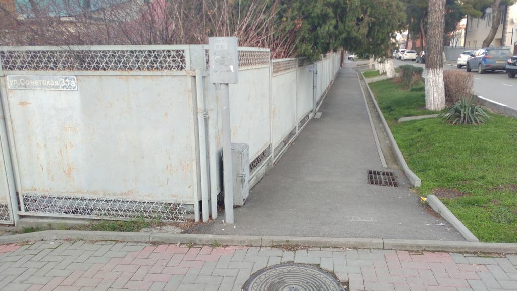 (фотография)