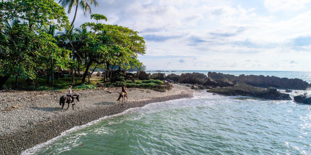 Visit_CostaRica's tweet photo. Is horseback riding at the beach on your bucket list? #VisitCostaRica

📍 Mal País https://t.co/xQ2uLzx895