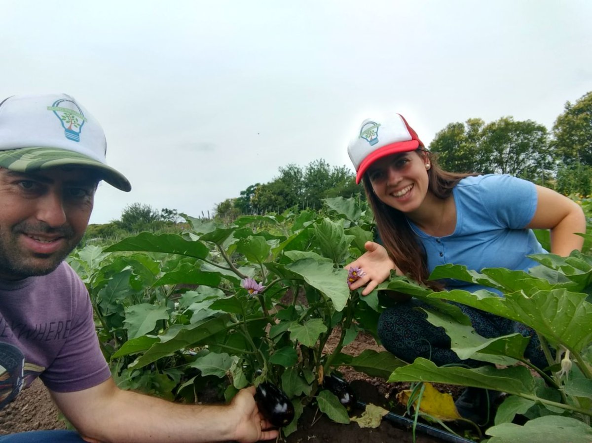 Agro Primavera (@agroprimavera) on Twitter photo Ya tenemos listo el bolsón de la semana.. Entra a nuestro facebook <a href="/AgroPrimavera/">Agro Primavera</a> y fijate lo que incluye, dias de entrega y precios🍆🍅🥦😍🥒🌶️ Ya tenemos listo el bolsón de la semana.. Entra a nuestro facebook <a href="/AgroPrimavera/">Agro Primavera</a> y fijate lo que incluye, dias de entrega y precios🍆🍅🥦😍🥒🌶️