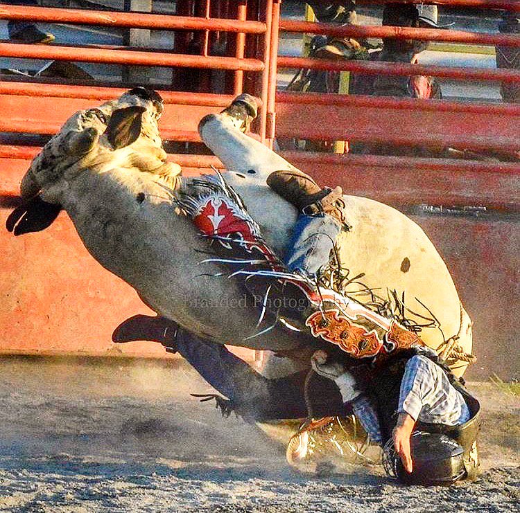 May 2018 be the year for greatness! .
.
Repost 📷 <a href="/old_bull_/">lp</a>