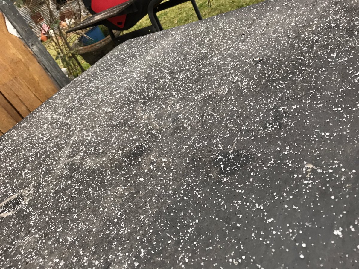sarahgutie's tweet photo. Little drops of ice at grandmas house! #NEHouston @chitakhou #HoustonWeather https://t.co/fPUEUUuaYA