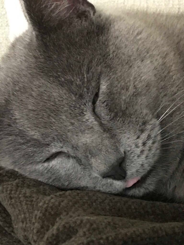 nigel walker tweet media