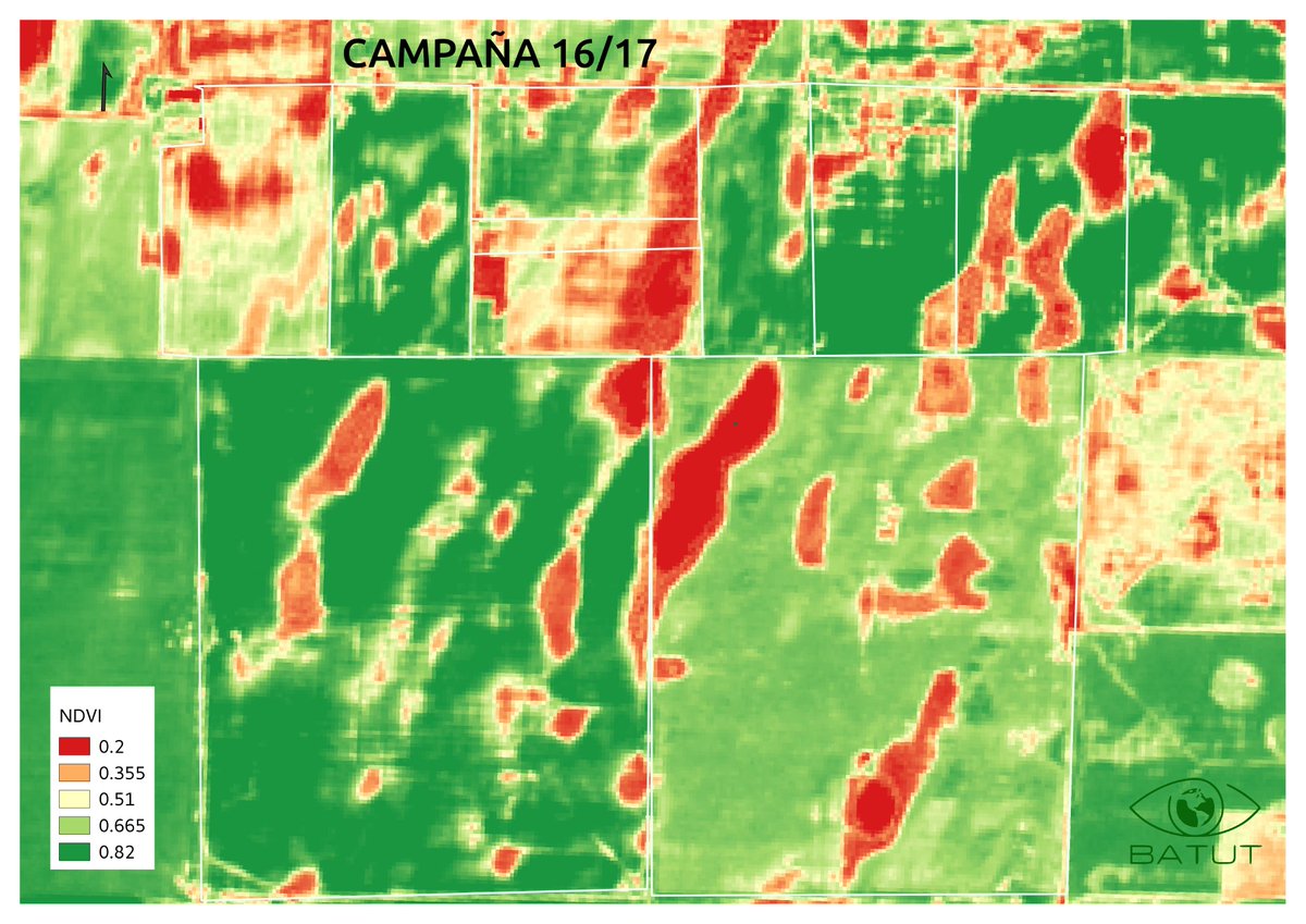batutgis's tweet image. Se invierte el patrón de productividad en Ameghino de una campaña a otra por el exceso o escasez de agua @creaoeste @intaargentina.