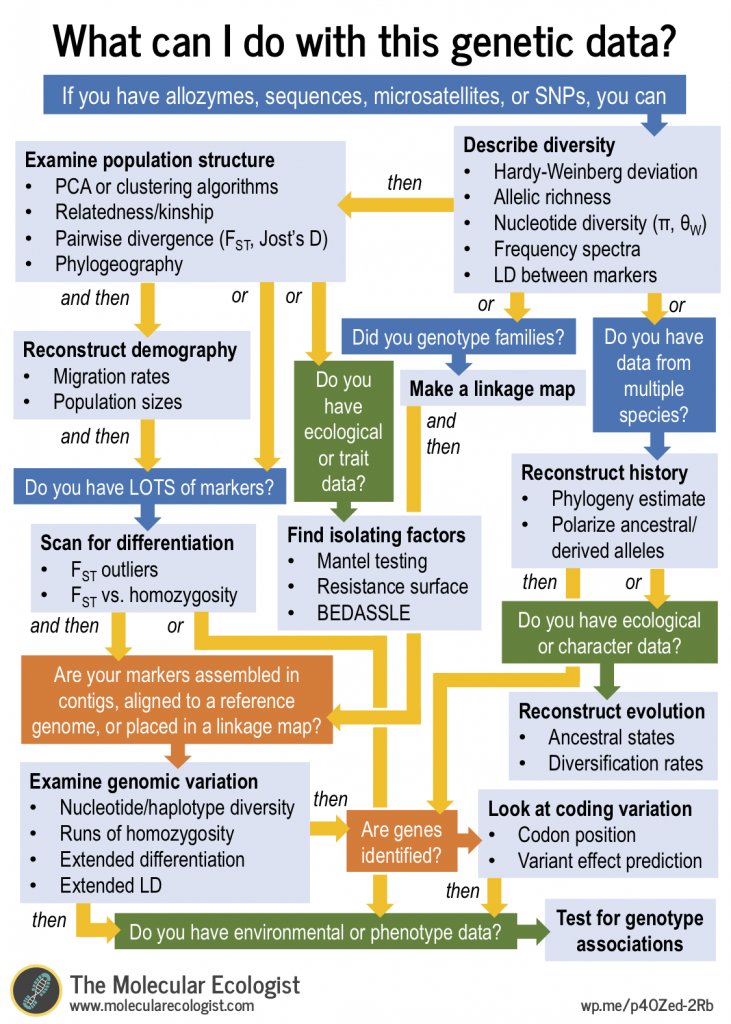 Molecular ecology, the flowchart wp.me/p4OZed-2Rb —by @JBYoder