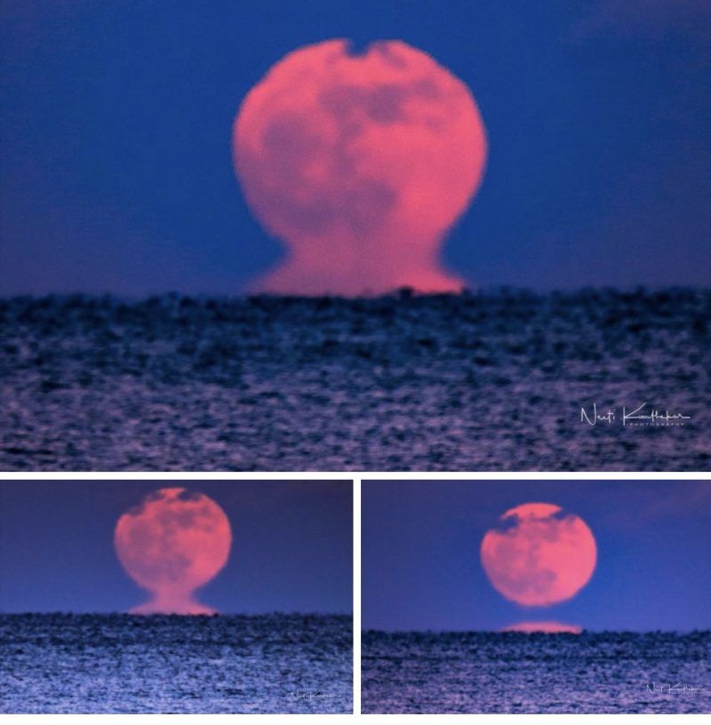 earthskyscience's tweet image. See it! New Year's supermoon - great pics here: bit.ly/2CGoKWQ

In this one, Neeti Kumthekar in Belmar, New Jersey caught the supermoon rising with a mirage effect.