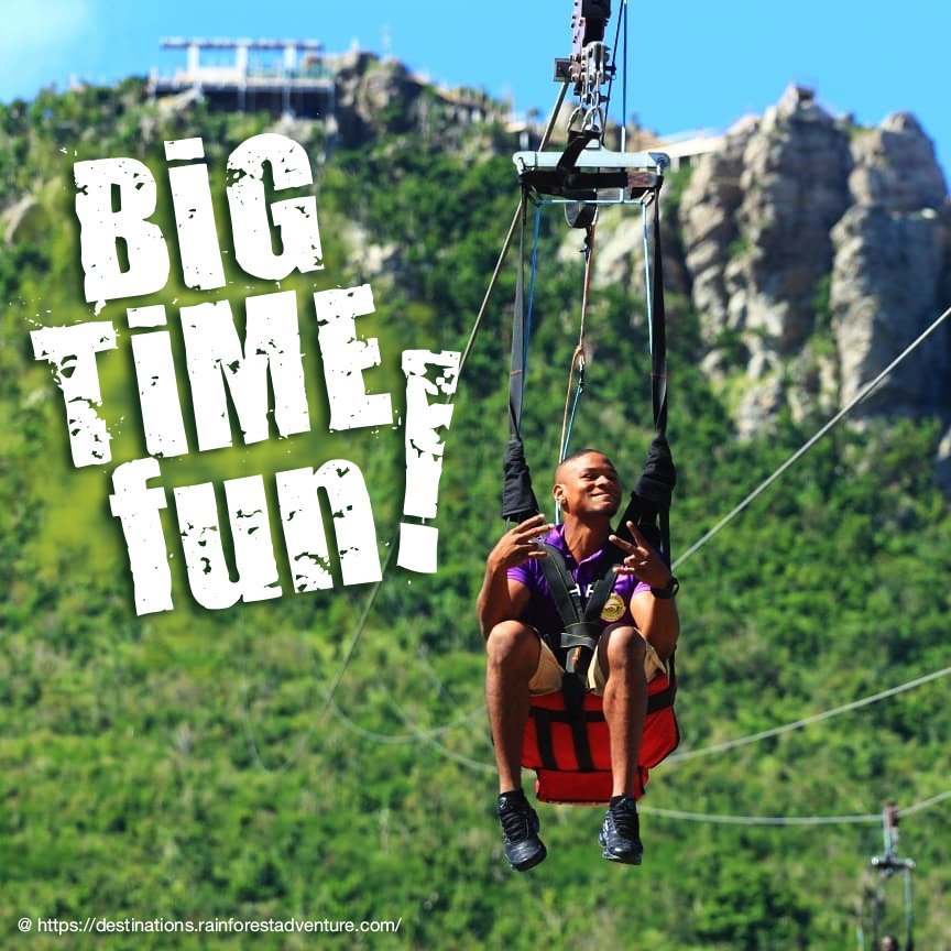 RainForestAdventures tweet media
