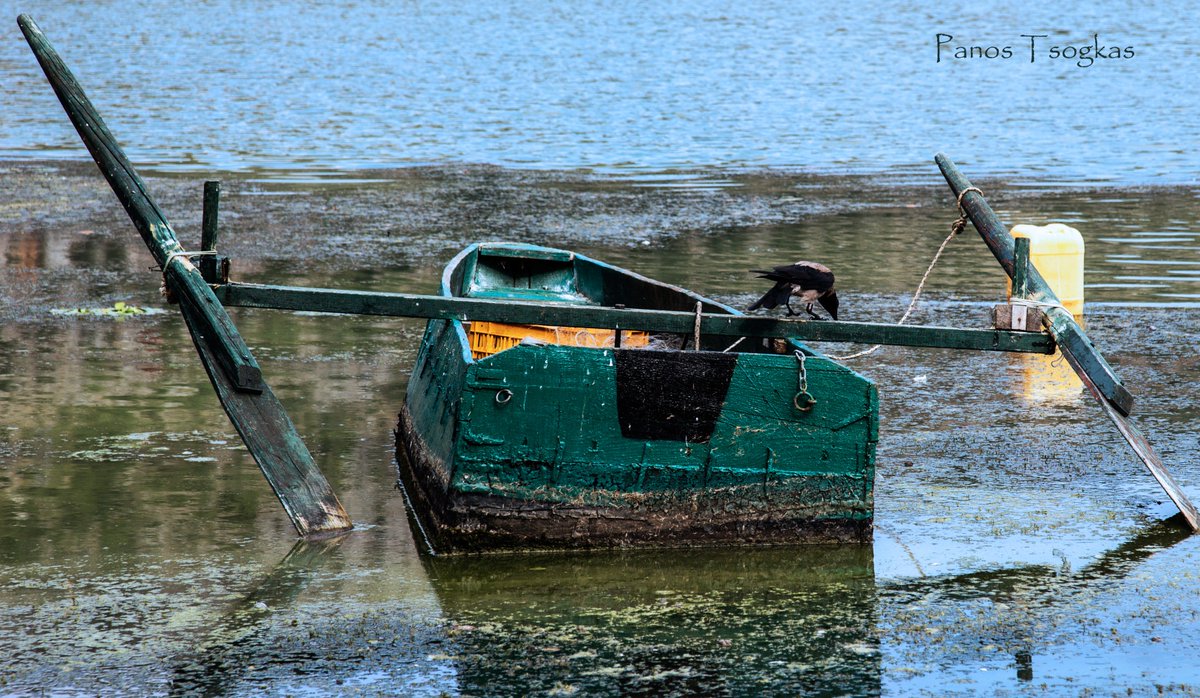 PoetaOptimus's tweet photo. little fish boat in Kastoria lake, north Greece, https://t.co/bqVbh6TPxn https://t.co/Rb2DgRkCSM