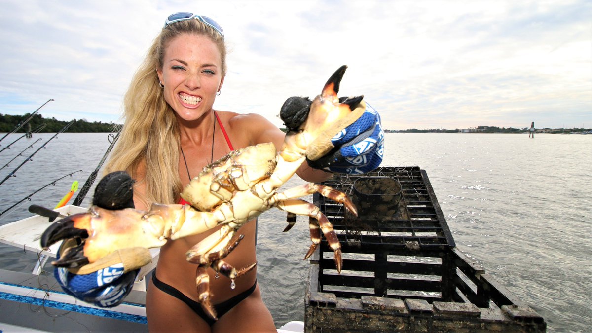 _Darcizzle_'s tweet image. RETWEET for my biggest single trap stone crab haul of ALL TIME! incl. my PB claw! Follow along in 2018 because I'm gonna catch all kinds of stuff! #fishing #feelingcrabby
