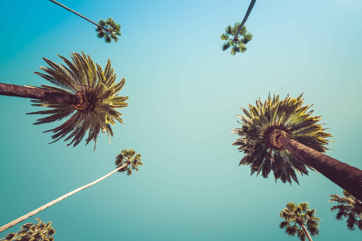 voyageprive's tweet photo. JOB : Talent Acquisition Manager. Venez recruter les talents Voyage Privé sous le ☀️ d'Aix-en-Provence ! ➡️https://t.co/D7x0ykbjBw #Rh #Recrutement #Recruitment #VoyagePrive #i4workR #i4Work #Work #Job https://t.co/59DhzSOOvI