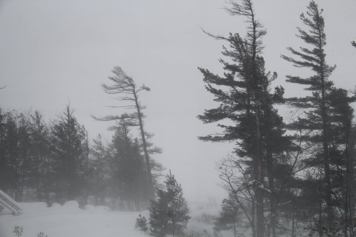 Happy New Years! Wild and wicked outside today <a href="/KillbearPP/">KillbearPP</a> - can't even see Wasauksing across the waters! A good day to stay indoors and drink hot chocolate!