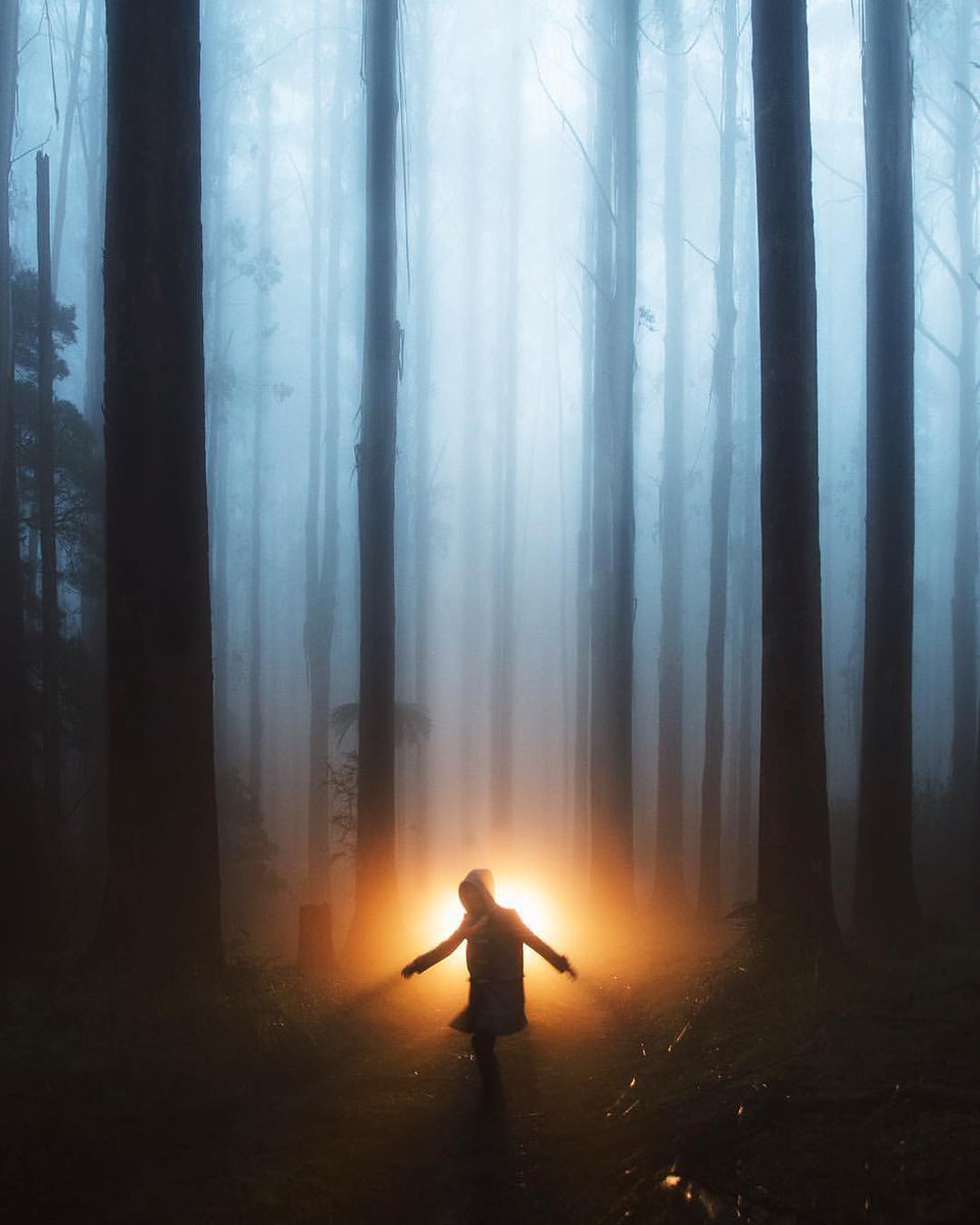 PhotoMove_'s tweet image. #photography