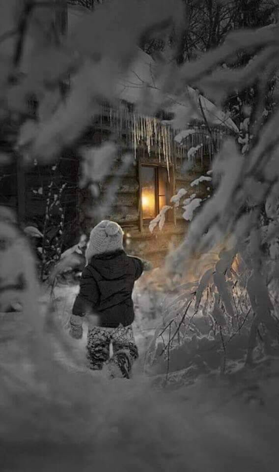 PicPublic's tweet photo. Good night https://t.co/FDfEFiywHz