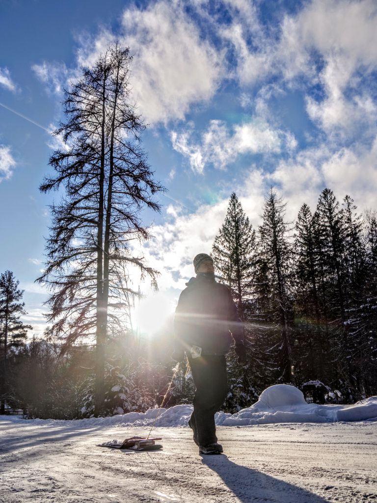 tuckerkanderson's tweet photo. Sledding in the sun β
#sun #sledding #fun #holidays
#explorebc #explorecanada #bcisbeautiful #findingawesome #powerdownbc #explorecanada #kootsrocks #pnwonderland #theglobewanderer #visualoutbreak #exploreconserveenjoy https://t.co/cUG6FxhmmC