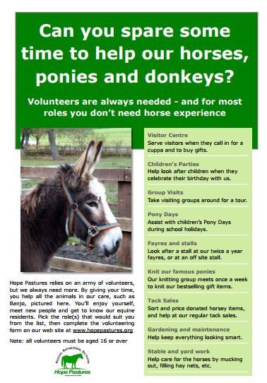 karen73984451's tweet photo. #rehomehour  # have you any spare time and want to make a difference to animals in rescue ? #volunteers needed no experience needed all info @HopePastures https://t.co/lkdYCFOCsS