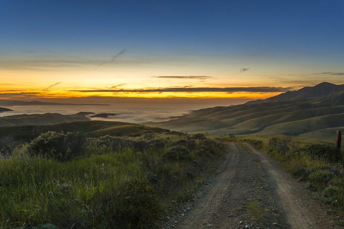 TEPatUCSB's tweet image. “The more that you read, the more things you will know. The more that you learn, the more places you’ll go.” – Dr. Seuss
#Education #TeacherEducation #TeachingCredential #TeacherCandidates #Quotes