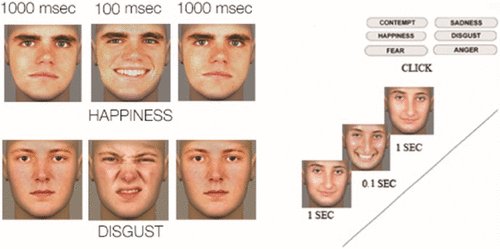 Bitch get recognising facial expressions images