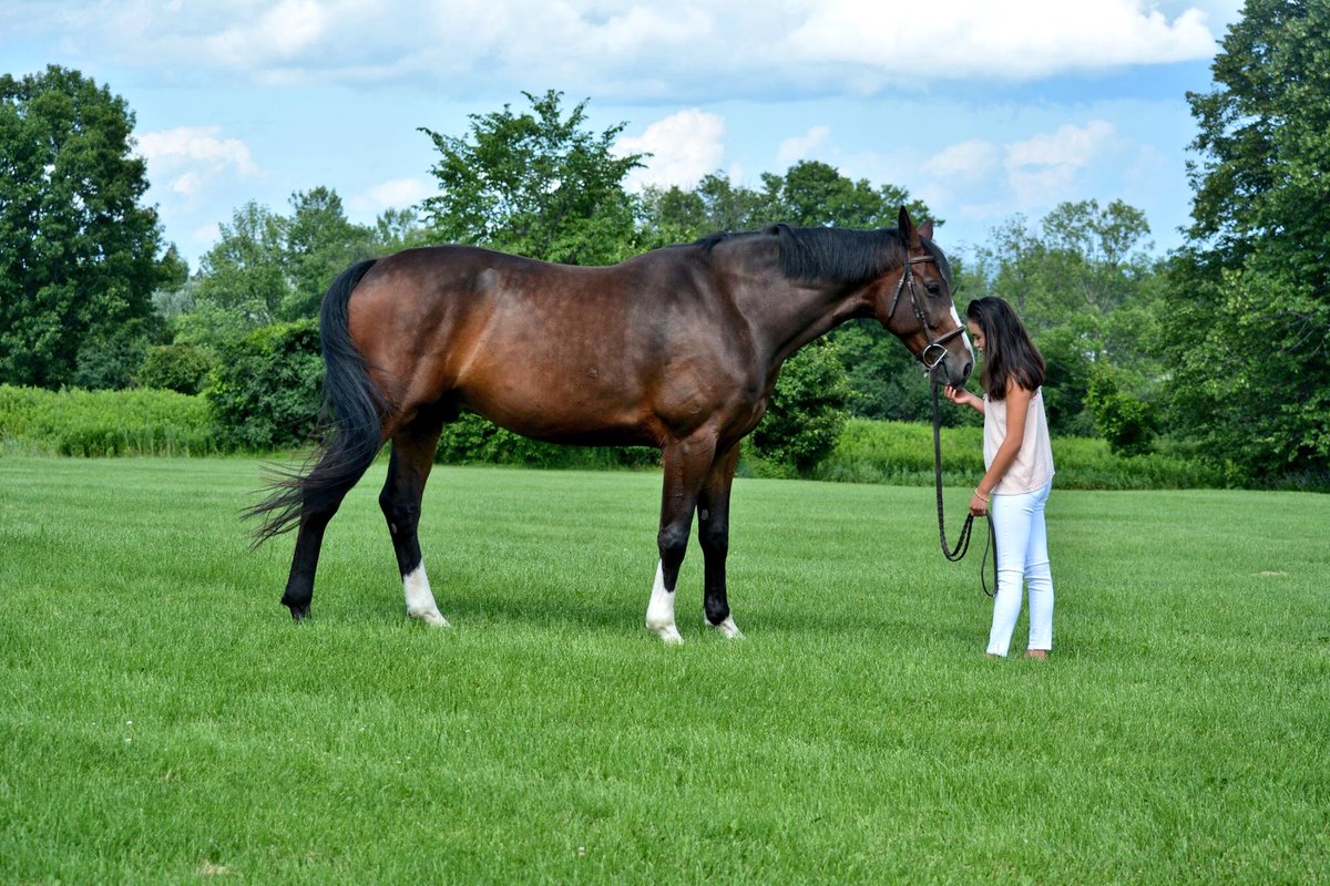 perfectstriding's tweet image. let’s fast forward to summer