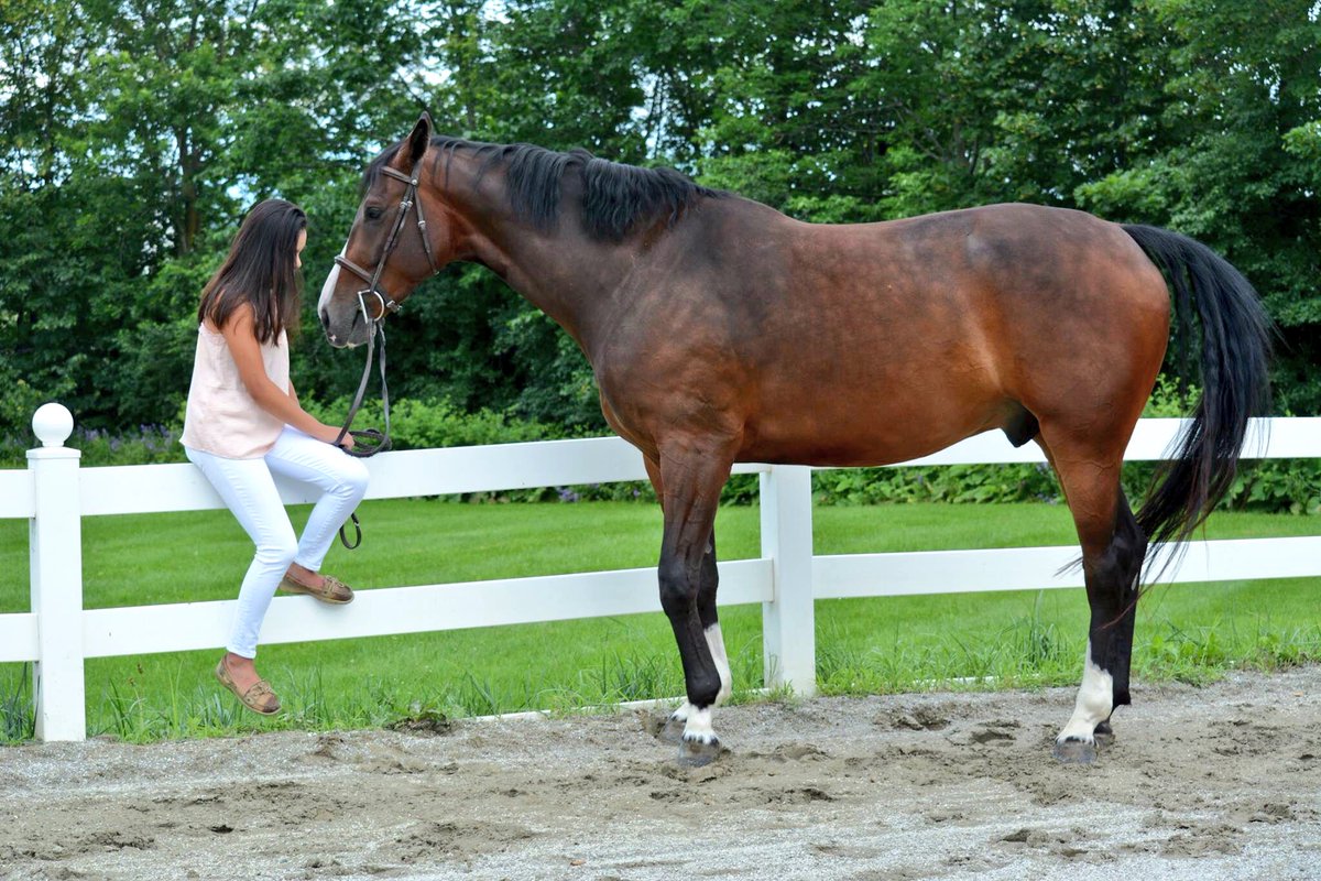 perfectstriding's tweet image. let’s fast forward to summer