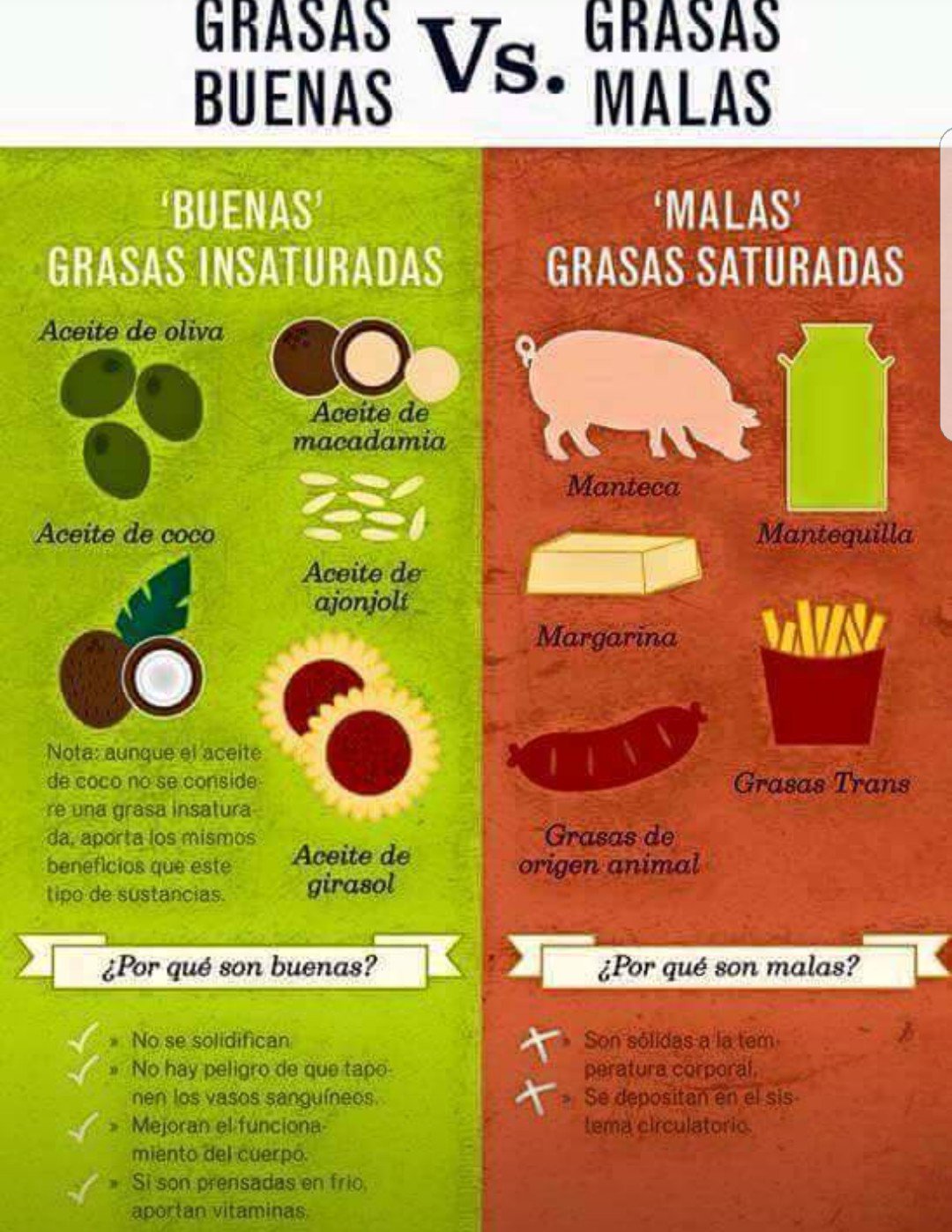 María Vitality ly on Twitter: María Vitality ly on Twitter: