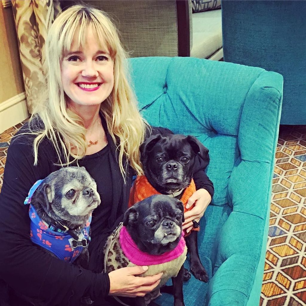 kimberlywilson's tweet photo. 🐶🐶🐶💗Just a girl and a pile of @homeward_bound_pug_rescue pugs! Over the moon to welcome our new bundle of joy, @iamgizziethepug x #rescuepugsofinstagram https://t.co/XmLq9I55pJ https://t.co/WyUar593D8