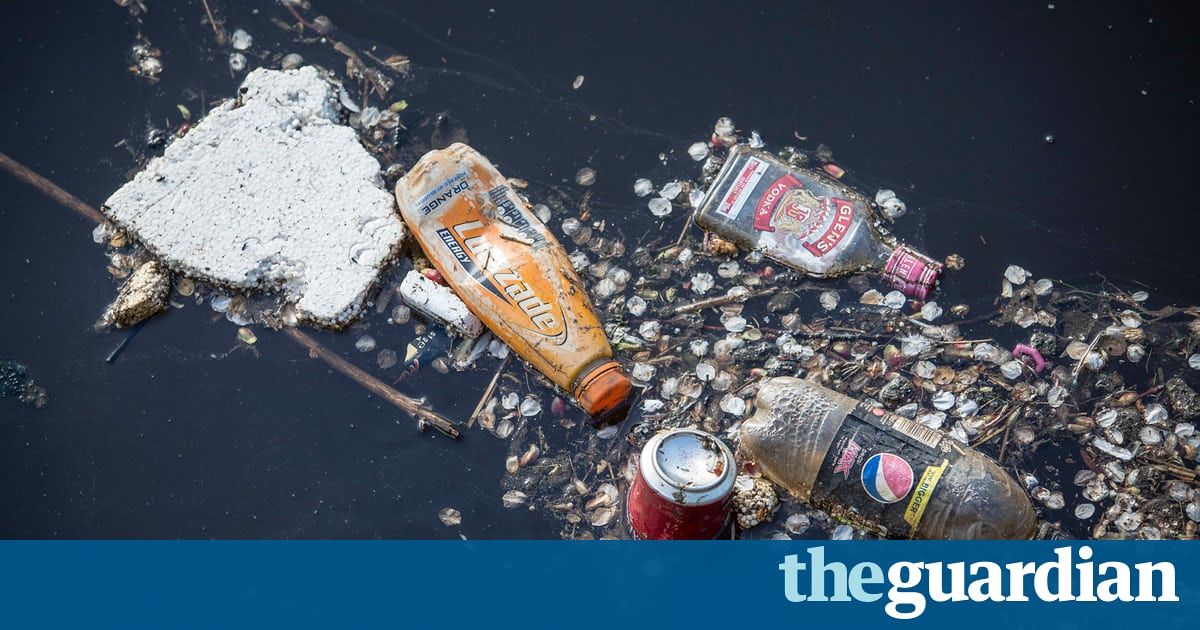 BeesBeyond's tweet photo. Make supermarkets and drinks firms pay for plastic recycling, say MPs - do you agree? https://t.co/HsilXMHbrp https://t.co/gW90of92Hu